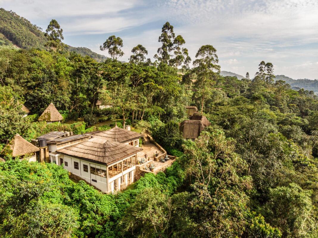 Volcanoes Safari Bwindi Lodge. Gorilla Trekking, Uganda, Bwindi Forest