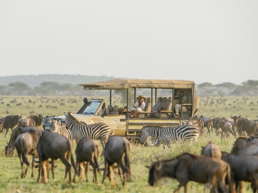 game-drive-amidst-the-migration
