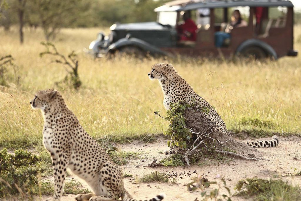 honeymoon-page-east-africa-itinerary-cotters-1920-camp-e1590015093782-copy_cropped-1024x683