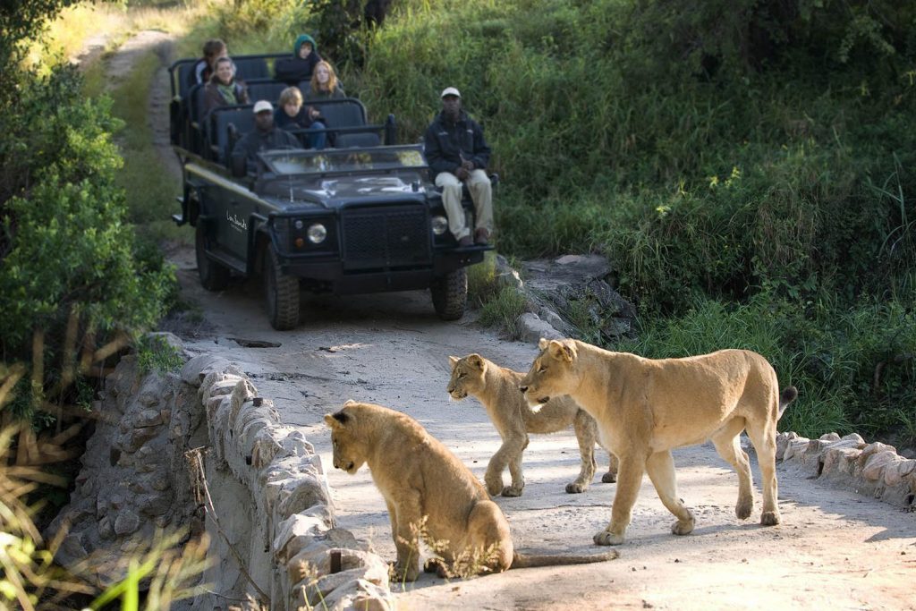honeymoon-page-southern-africa-itinerary-lion-sands-game-drive-e1590015675941_cropped-1024x683
