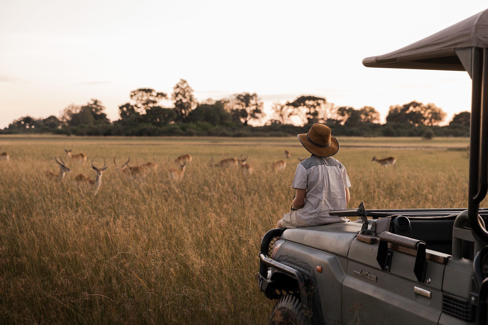 Wilderness Vumbura Plains, Okavango Delta, Botswana