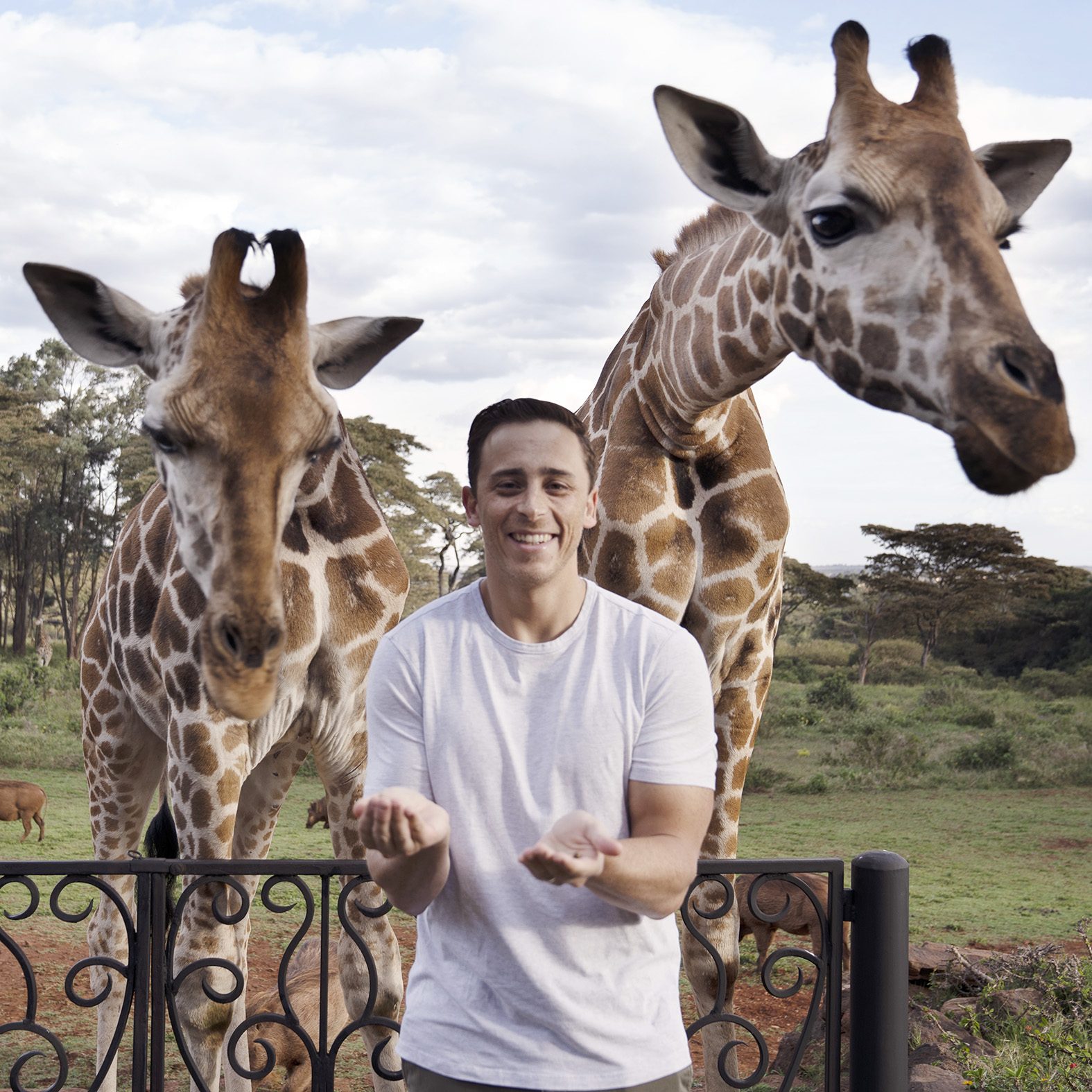 kyle giraffe manor square