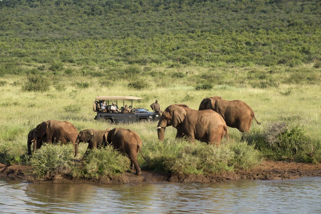 morukuru-river-house_2_cropped-1024x682 morukuru-river-house_2_cropped-1024x682