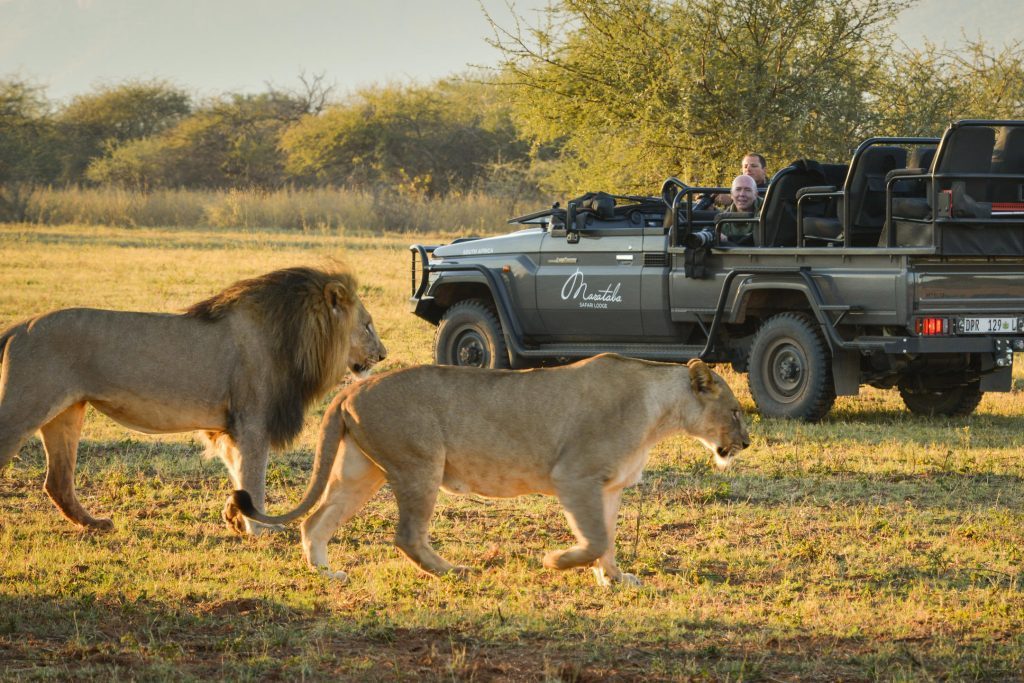 on-safari_cropped-1024x683 on-safari_cropped-1024x683