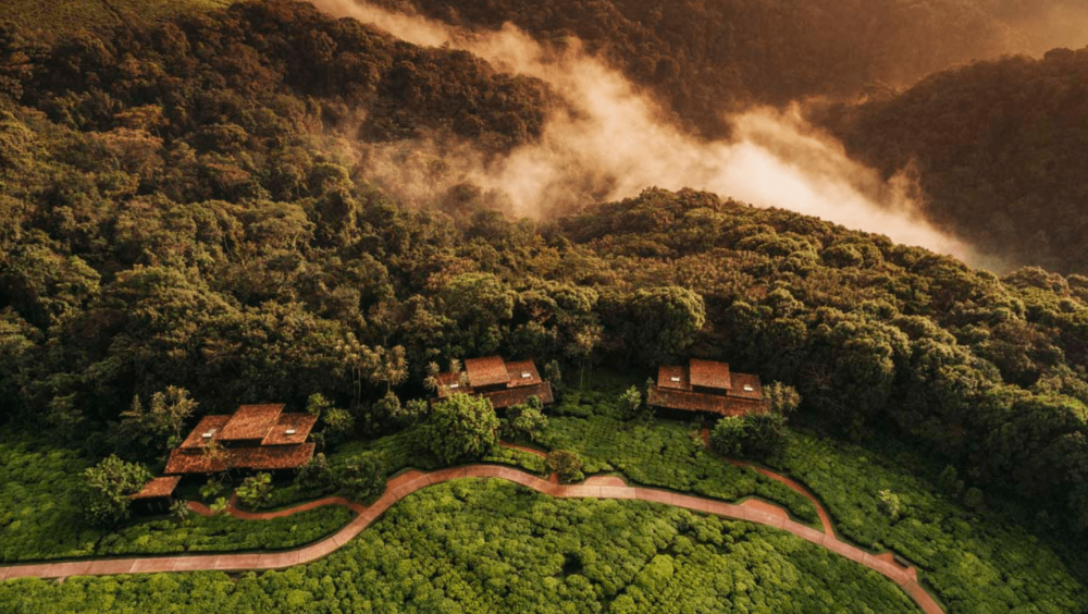 Nyungwe National Park, Rwanda