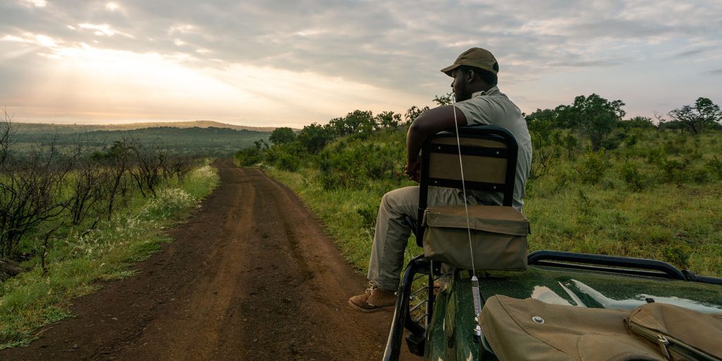 Phinda Private Game Reserve, South Africa, Conservation Safari, Game Drive