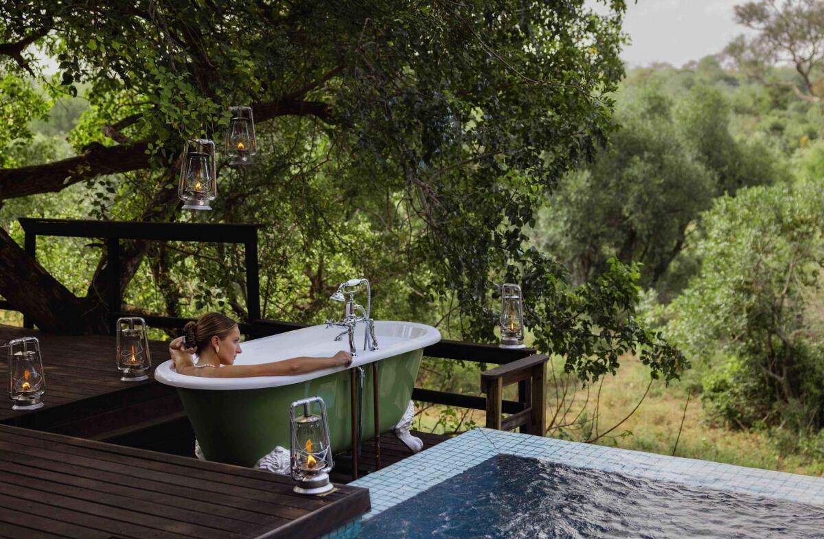 Royal Malewane Lodge. Royal Portfolio. Greater Kruger. Kruger National Park. Big Five