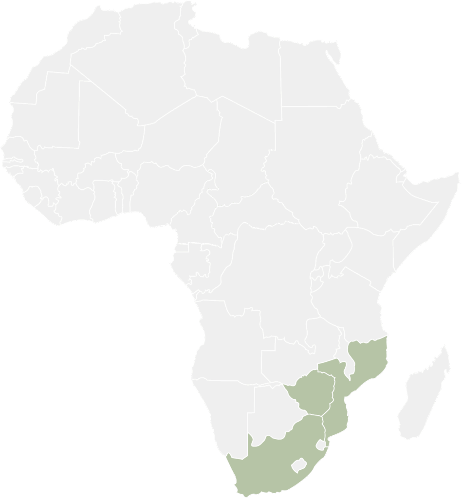 south_african_honeymoon