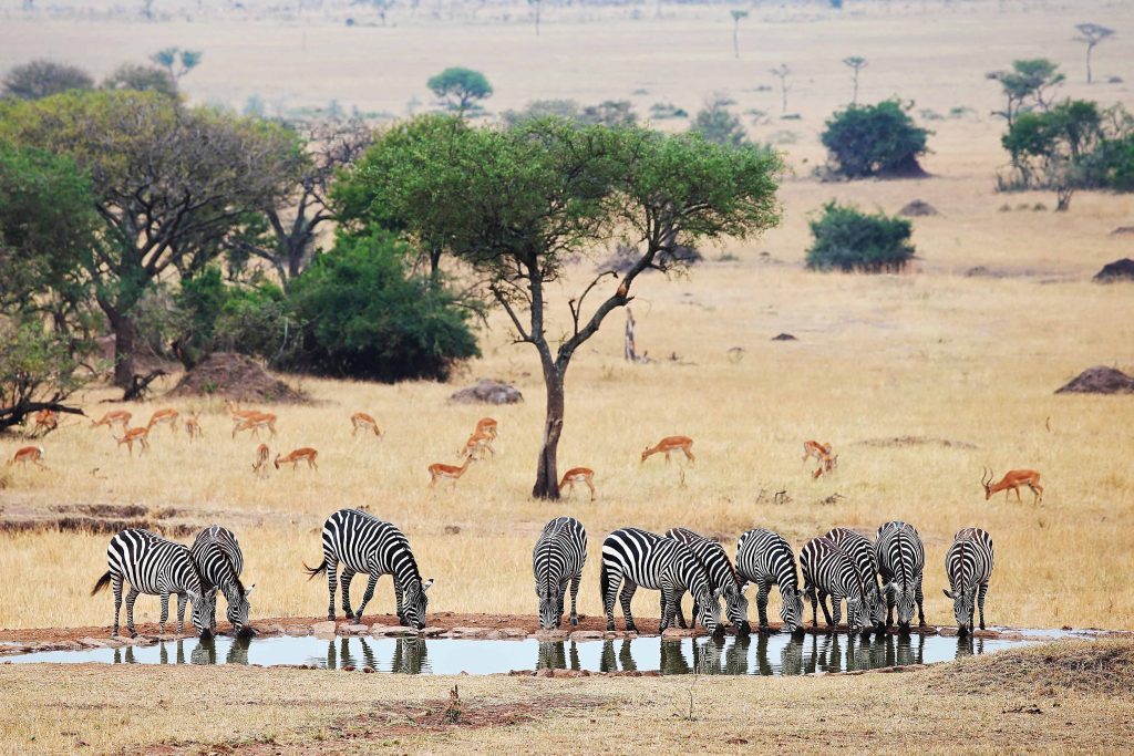 sph_view2_cropped_-1024x683 sph_view2_cropped_-1024x683