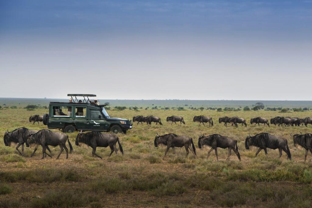 andBeyond, $Beyond, Great Migration, Southern Serengeti, Honeymoon Safaris.