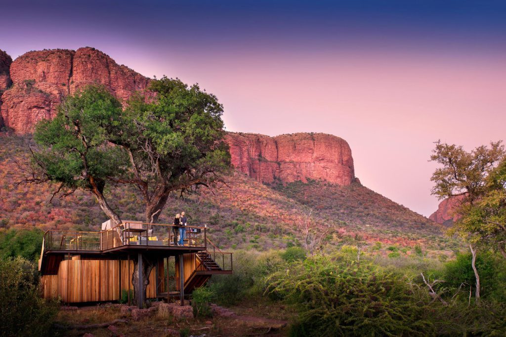 thabametsi-treehouse_cropped-1024x683 thabametsi-treehouse_cropped-1024x683