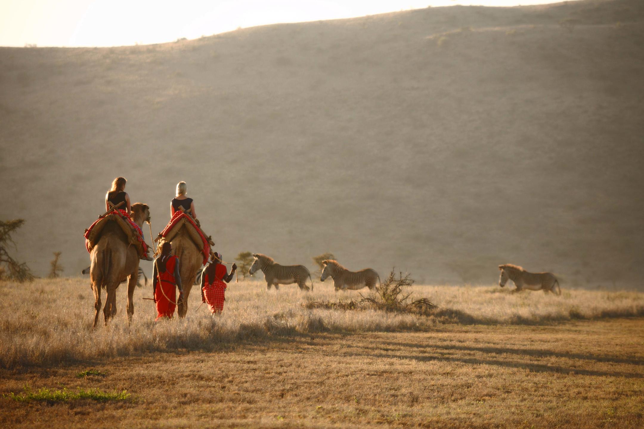 Laikipia, Camel Rides, Lewa Conservancy, Lewa House, Family Safari, Luxury Safari