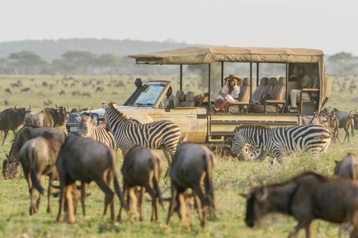 Great Migration, Southern Serengeti, Serengeti Calving Season. Glamping Bushtops Safari.