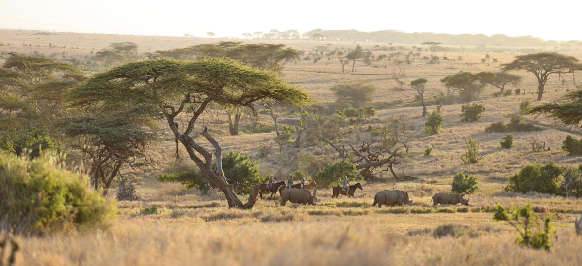 Big Five Horse Riding, Laikipia Plateau, Kenya