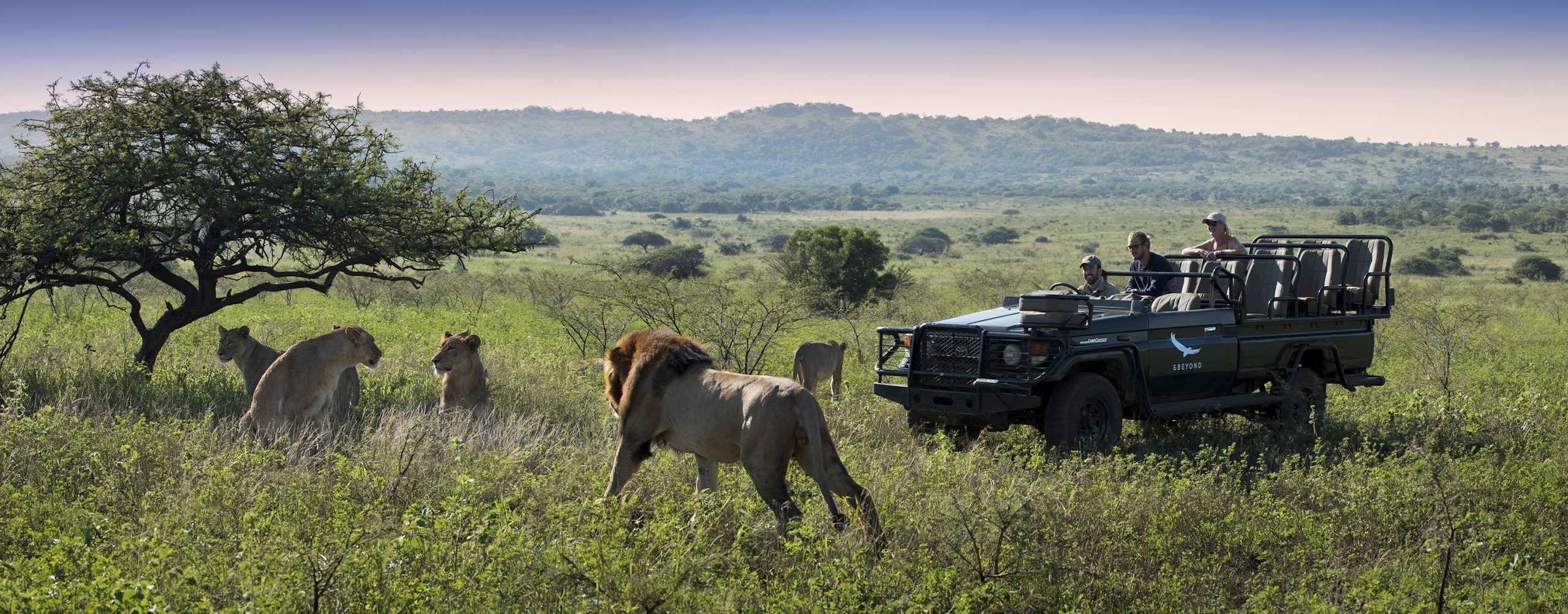 Impact Journey, Conservation Safaris