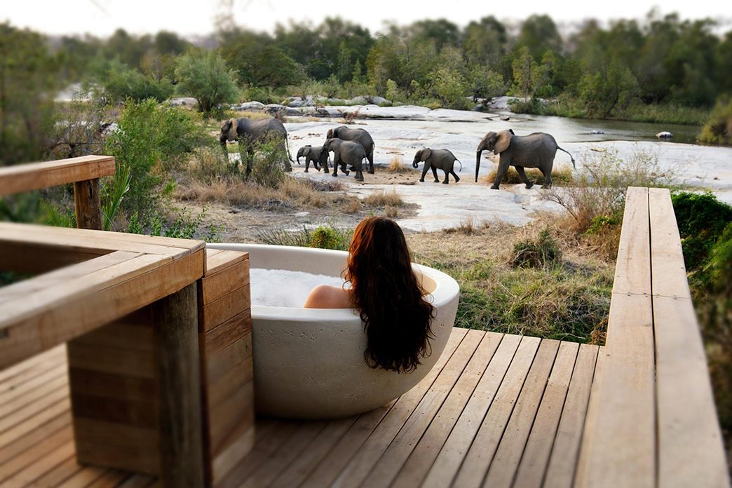 Londolozi, Sabi Sands, Sabi Sand Game Reserve, Big Five Safaris