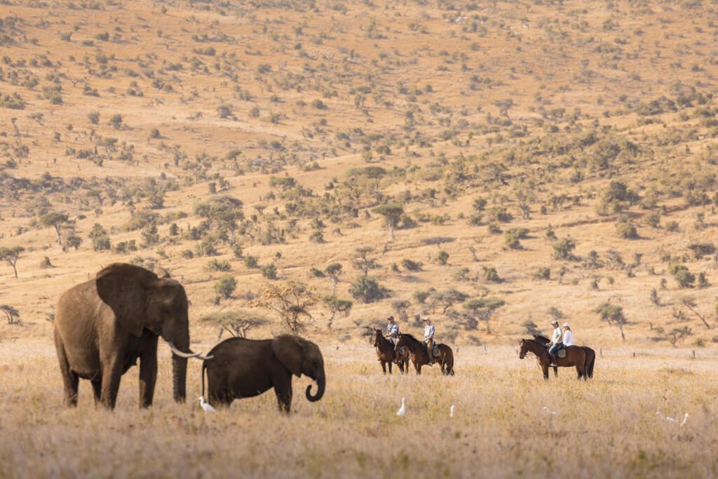 Big Five Horse Riding, Kenya