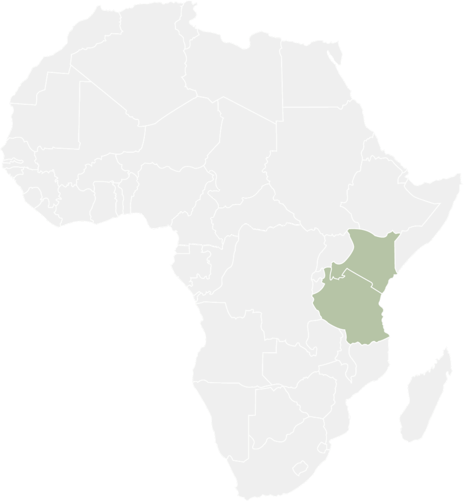 Kenya, Tanzania, Great Migration.