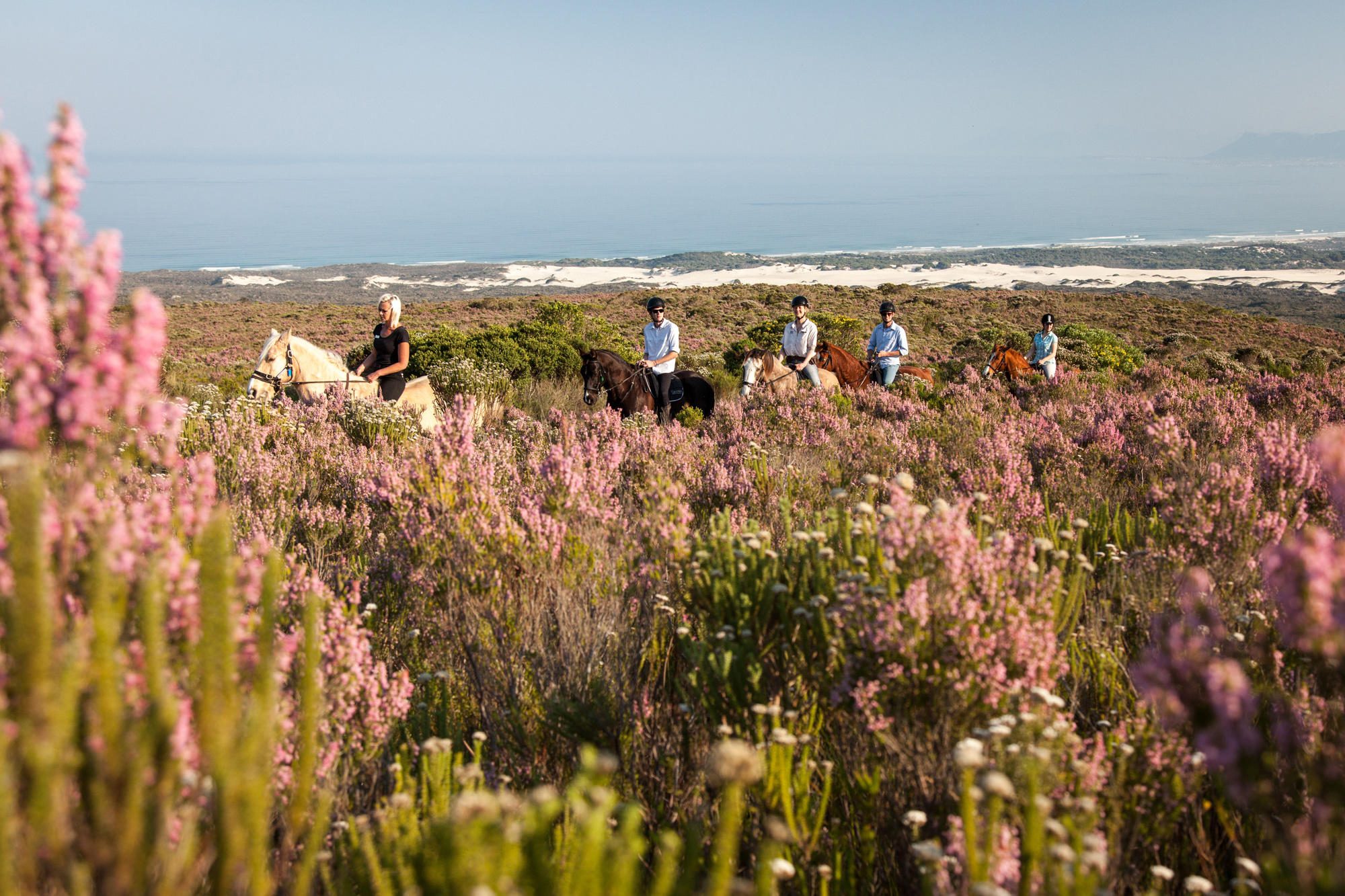 Grootbos, Walker Bay, Flower Safari, Whale Coast, Hermanus
