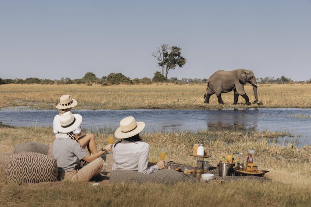 Okavango Delta, Family Safaris, Safari Drink Stops