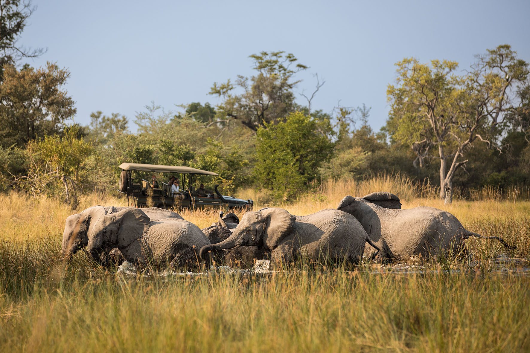 Great Plains, Okavango Delta, Africa Geographic, Derek Joubert, Beverly Joubert 