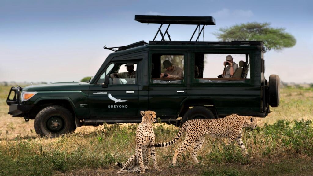 Cheetah at andBeyond Serengeti Under Canvas_1