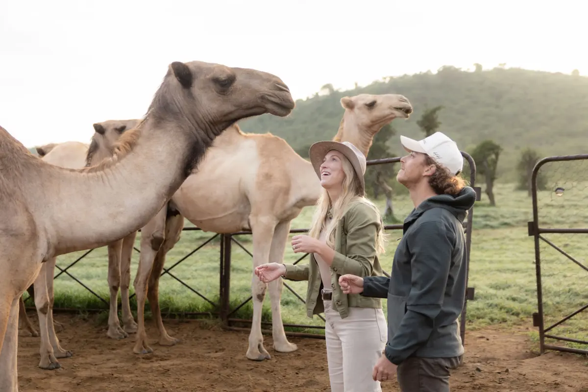 Co-Founders, Kyle and Leah Green, Luxury Lodge, Couples Safaris. &Beyond Travel, andBeyond Suyian. Camel Safaris, Camel Rides