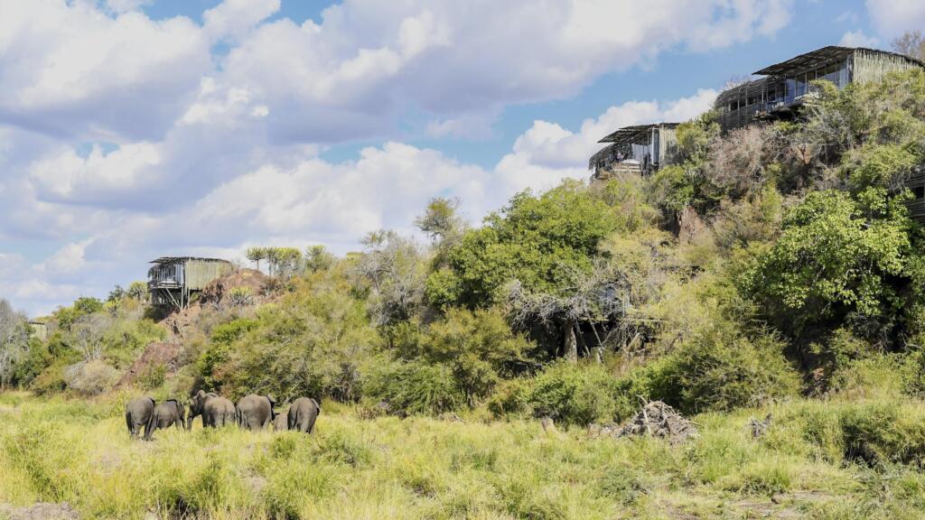 Kruger National Park, Big Five, Luxury Kruger, Singita