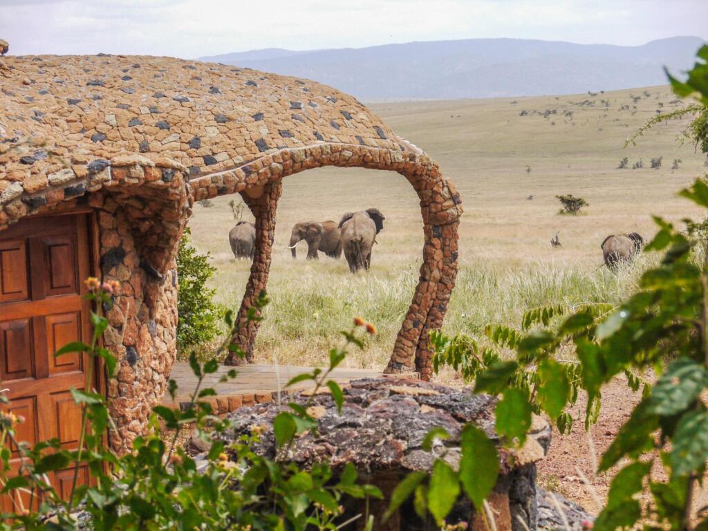 Lewa House, Lewa Conservancy