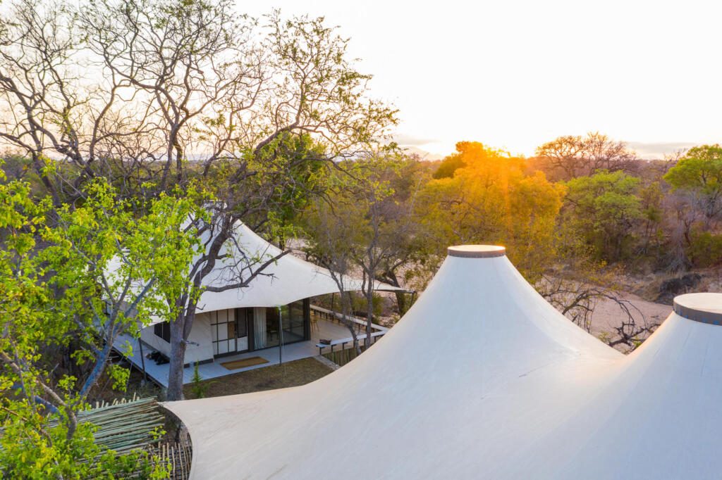 Thornybush, Big Five Safari, Luxury Safari, Honeymoon Safari