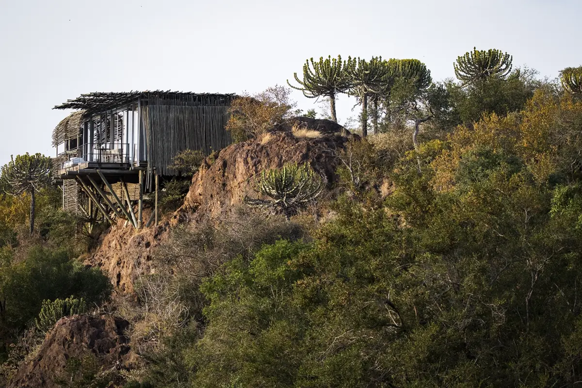 Luxury Safaris, Big Five Safaris, Kruger, Greater Kruger