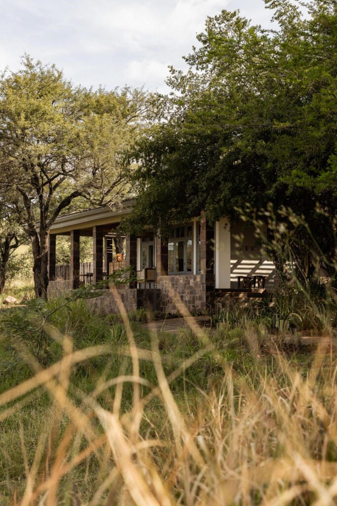 Serengeti, Great Migration, Singita, Family Safari, Private Group Safari