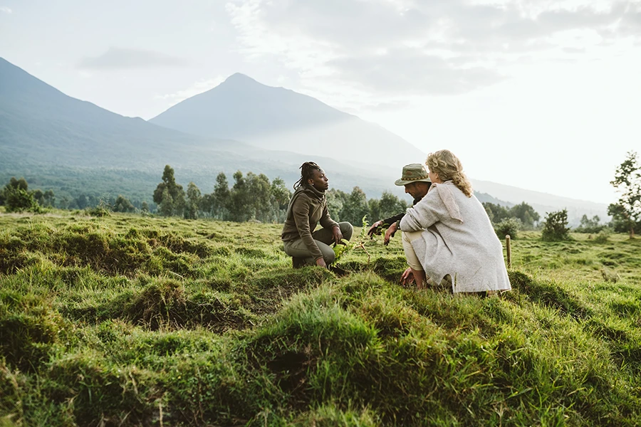 Akarabo Nursery to plant an indigenous tree as part of the ongoing rewilding and reforestation
