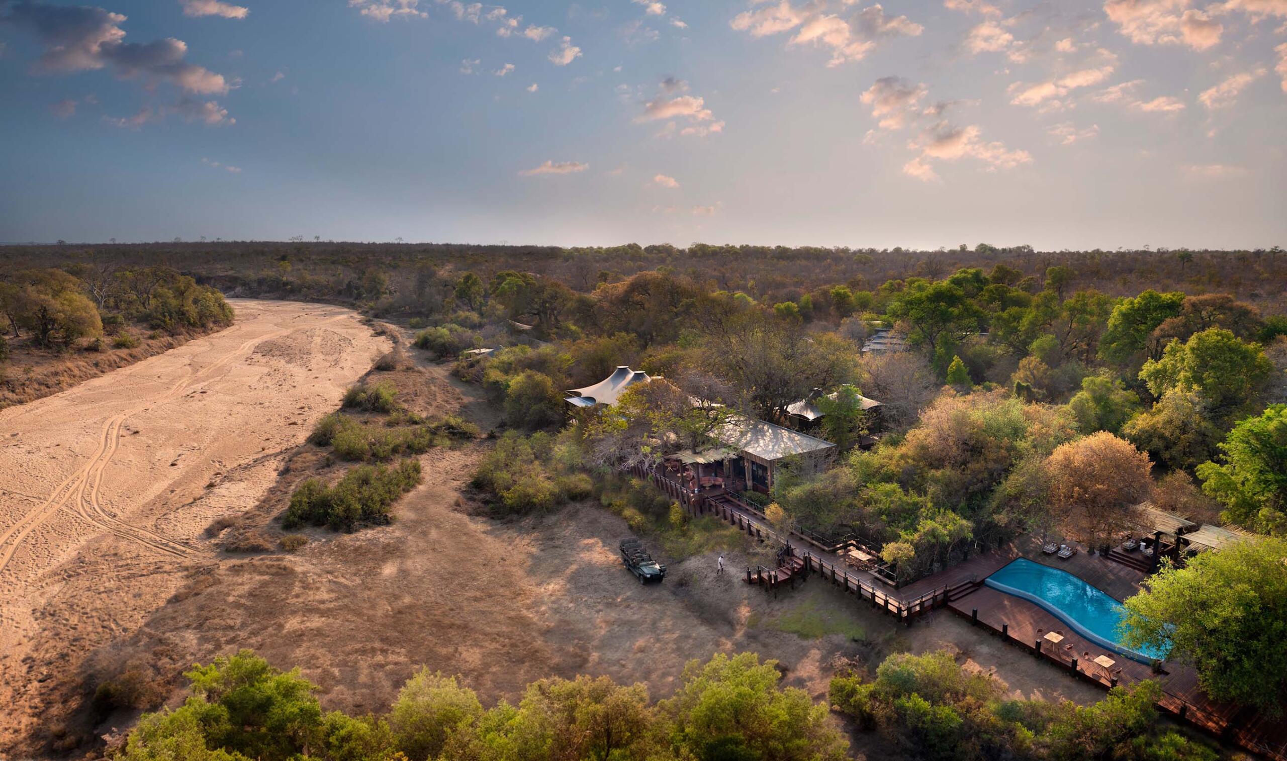 Kruger National Park, Big Five Safaris, Ngala Private Game Reserve, White Lion, Timbavati