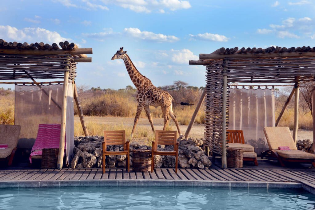 Chem Chem Lodge,  Tarangire Tarangire National Park, Tanzania