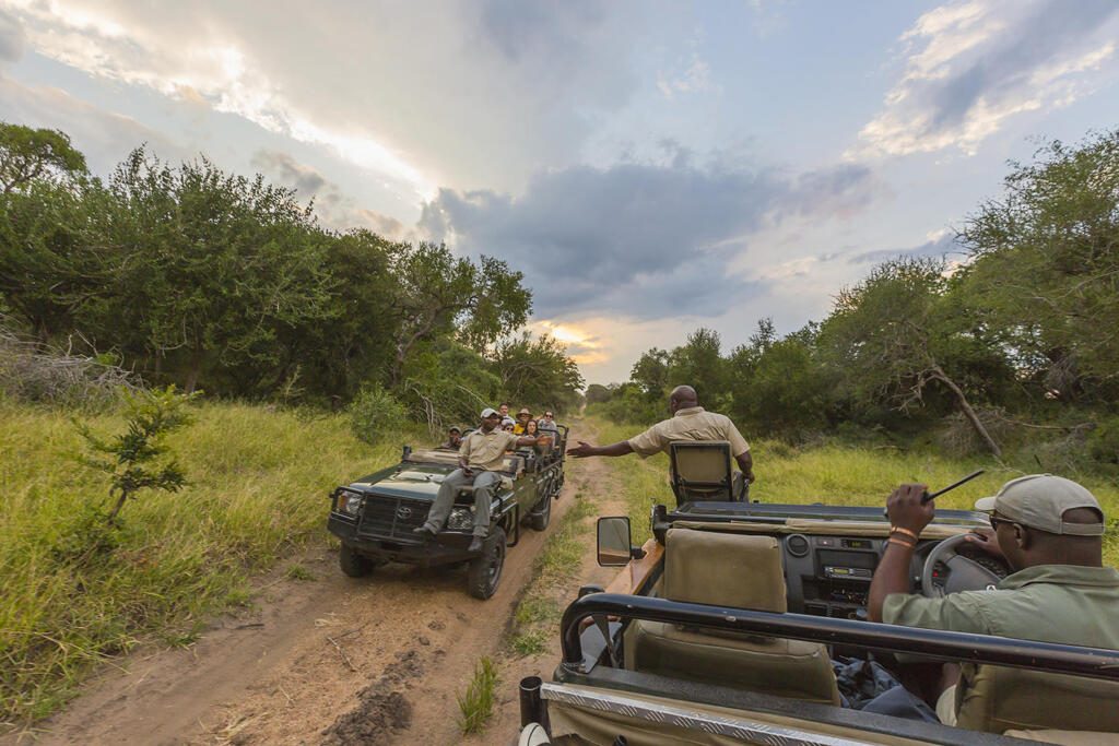 Thornybush, Big Five Safari, Luxury Safari, Honeymoon Safari