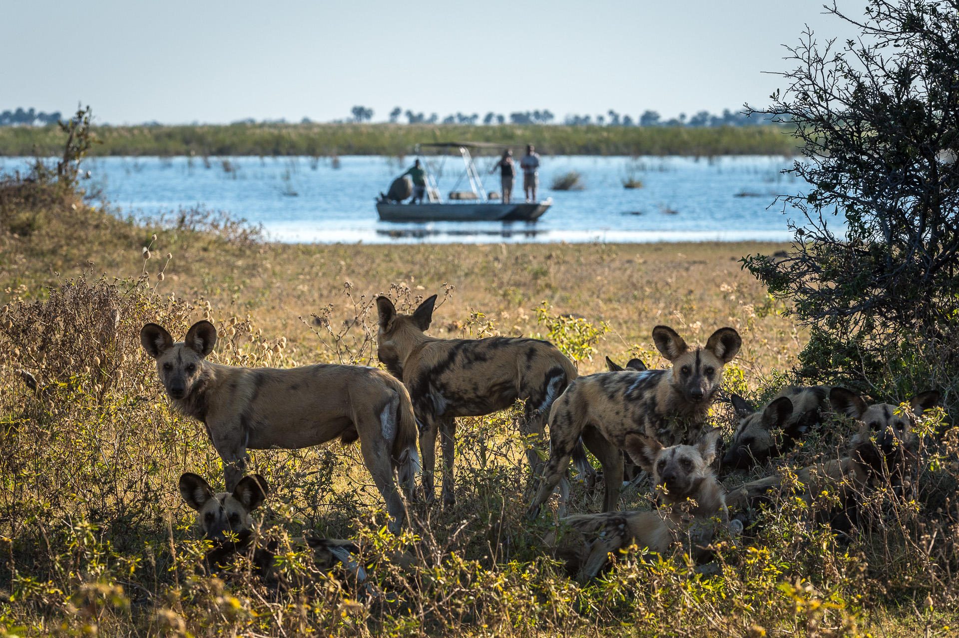 Linyanti Wildlife Reserve, Linyanti, Wilderness Destinations, DumaTau