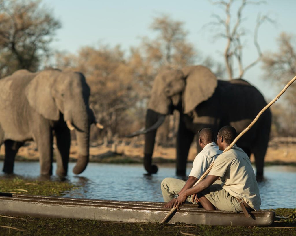 African Bush Camps Atzaró Okavango