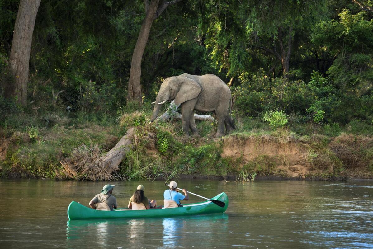 Canoeing at Africa Bush Camps Lolebezi, Lower Zambezi National Park, Zambia