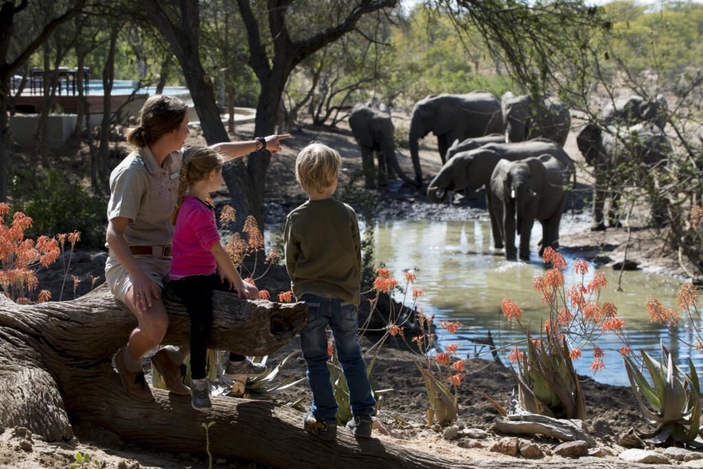 Kruger, White Lions, Timbavati, andBeyond, &Beyond, Big Five Safaris