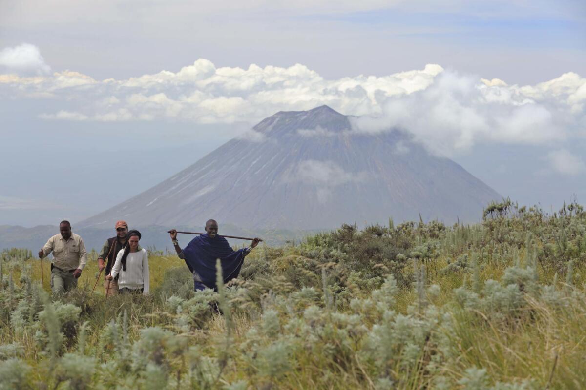 Asilai Highands, Crater, Ngorongoro Conservation Area