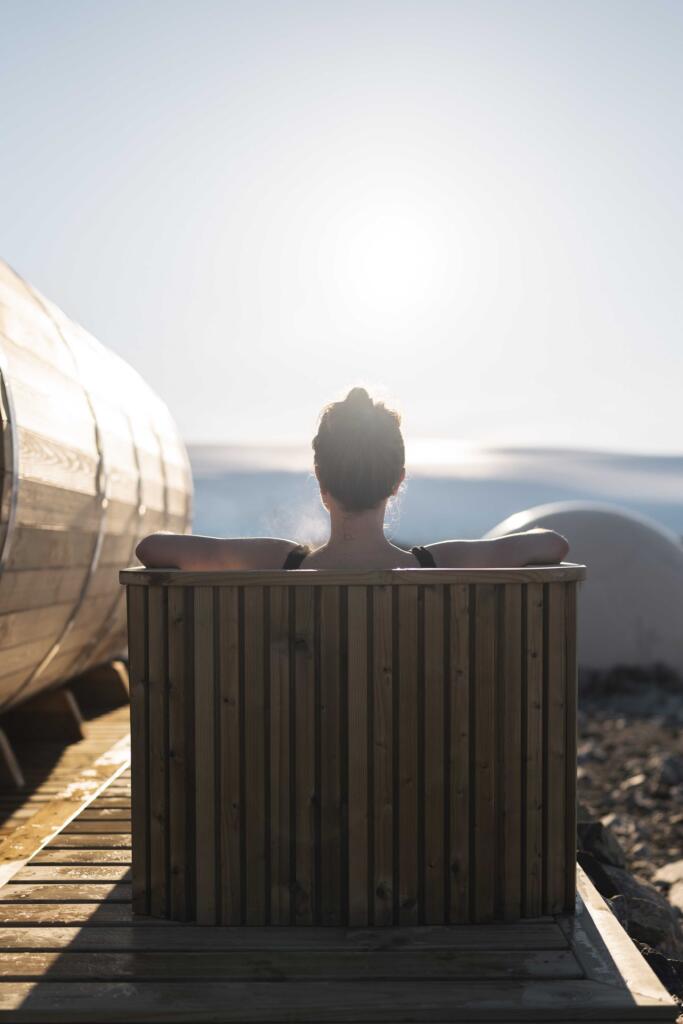 Antarctic, White Desert, Royal Malewane,