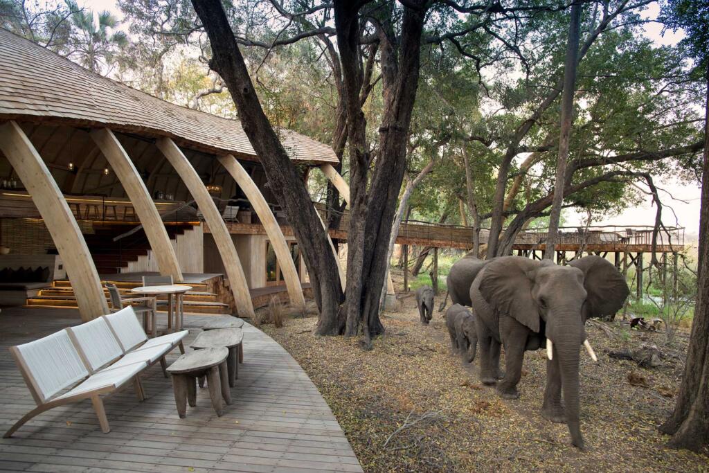 andBeyond, &Beyond, Okavango Delta, Botswana