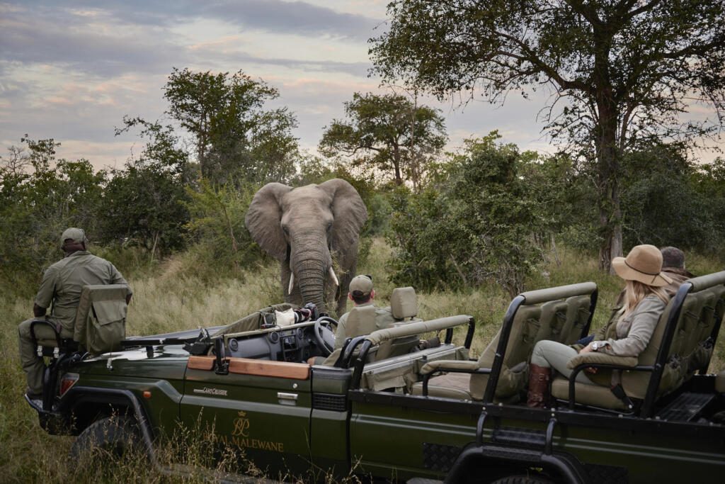 Game Drive, Greater Kruger, Big Five, Royal Malewane Portfolio