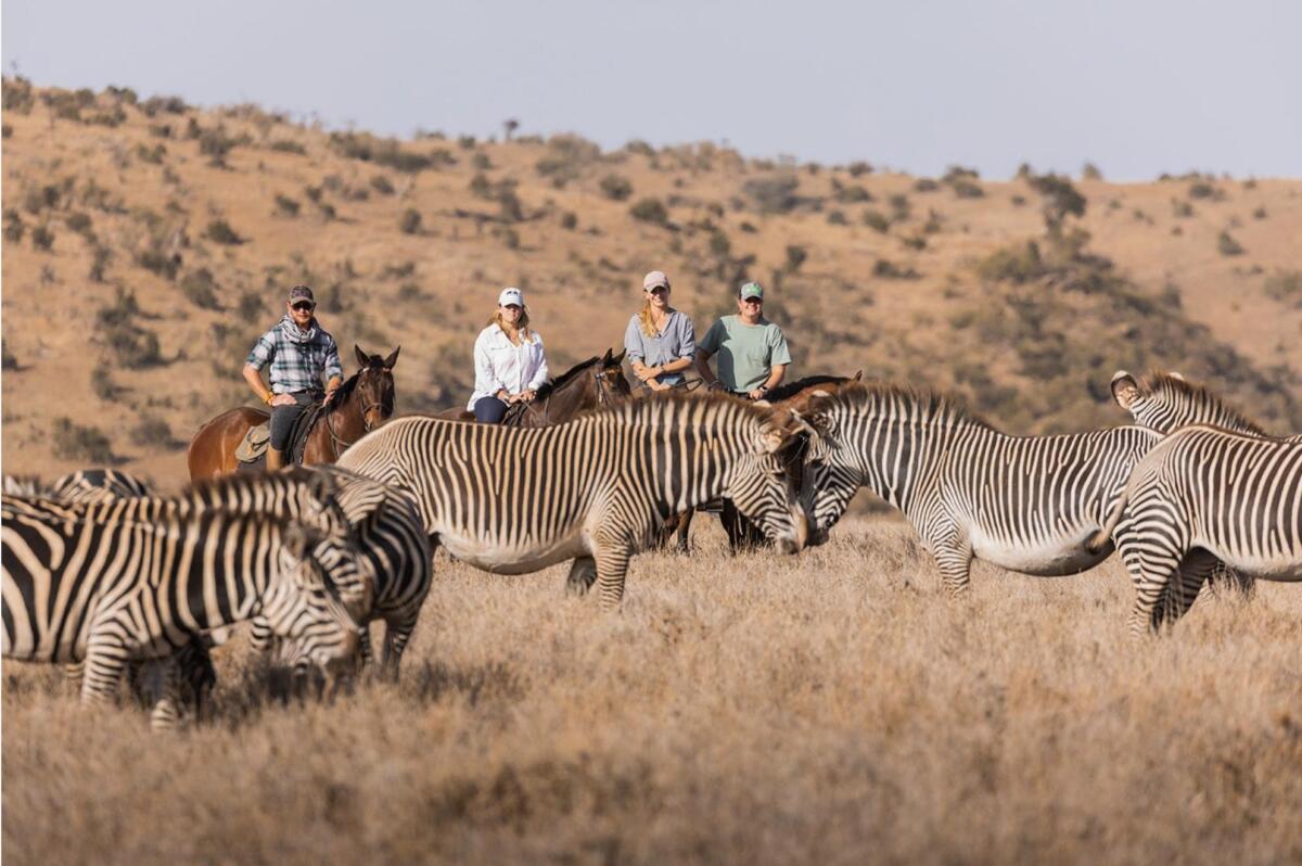 Horseback Safari