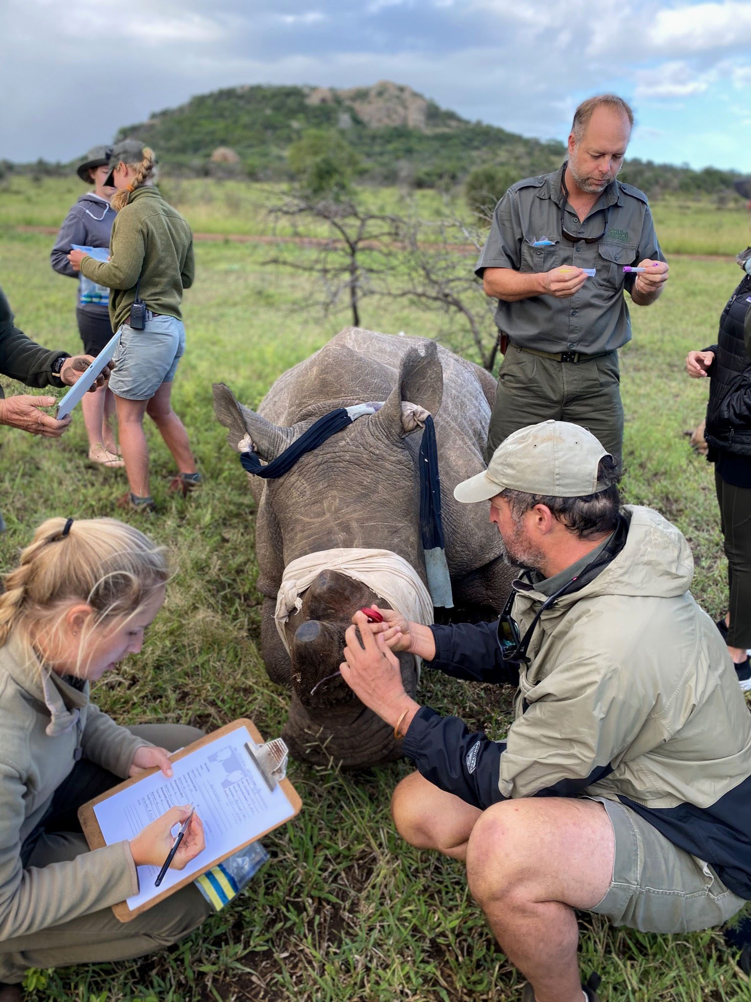 Conservation Safari, Phinda Zuka, Phinda Private Game Reserve, andBeyond, &Beyond