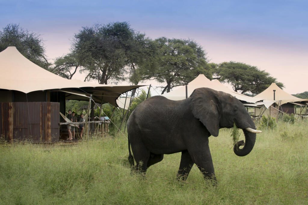 Somalisa Acacia, Hwange National Park, Zimbabwe