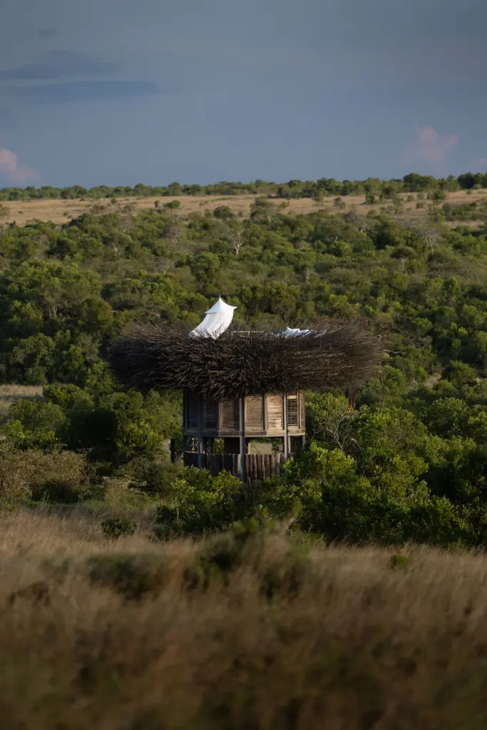 Big Five Luxury Safari, Laikipia County, Mount Kenya, Kyle & Leah Green, Travel Specialist