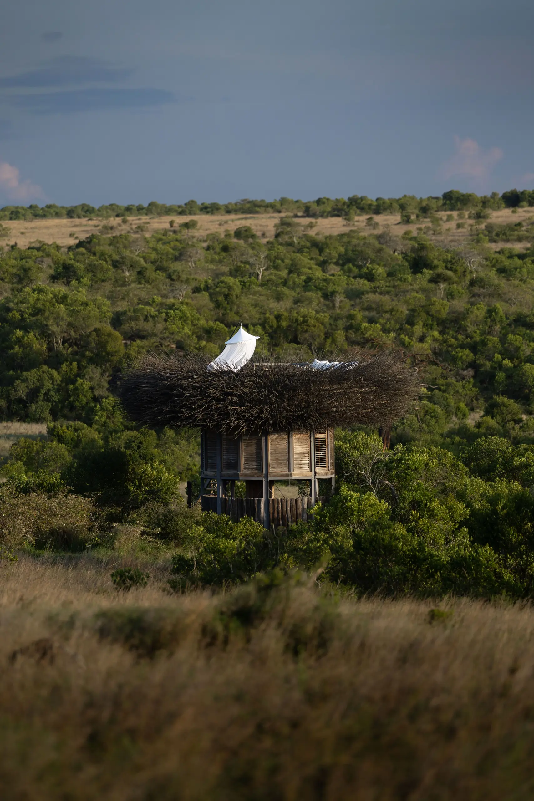Big Five Luxury Safari, Laikipia County, Mount Kenya, Kyle & Leah Green, Travel Specialist