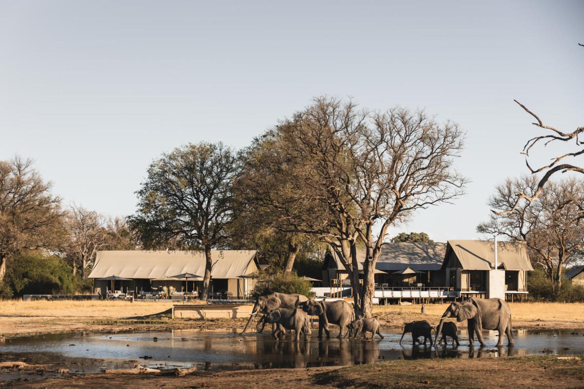Hwange, Wilderness